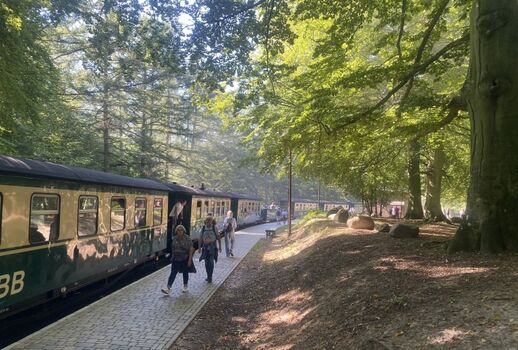 mit dem Rasenden Roland zum Jagdschloss Granitz auf Rügen