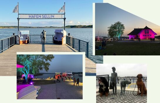 im Sportboothafen Sellin auf Rügen