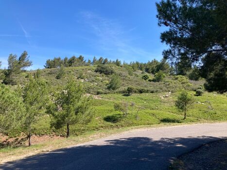 Wege durch die Garrigue, morgens still, abends golden – ideal für die erste und letzte Hunderunde des Tages.