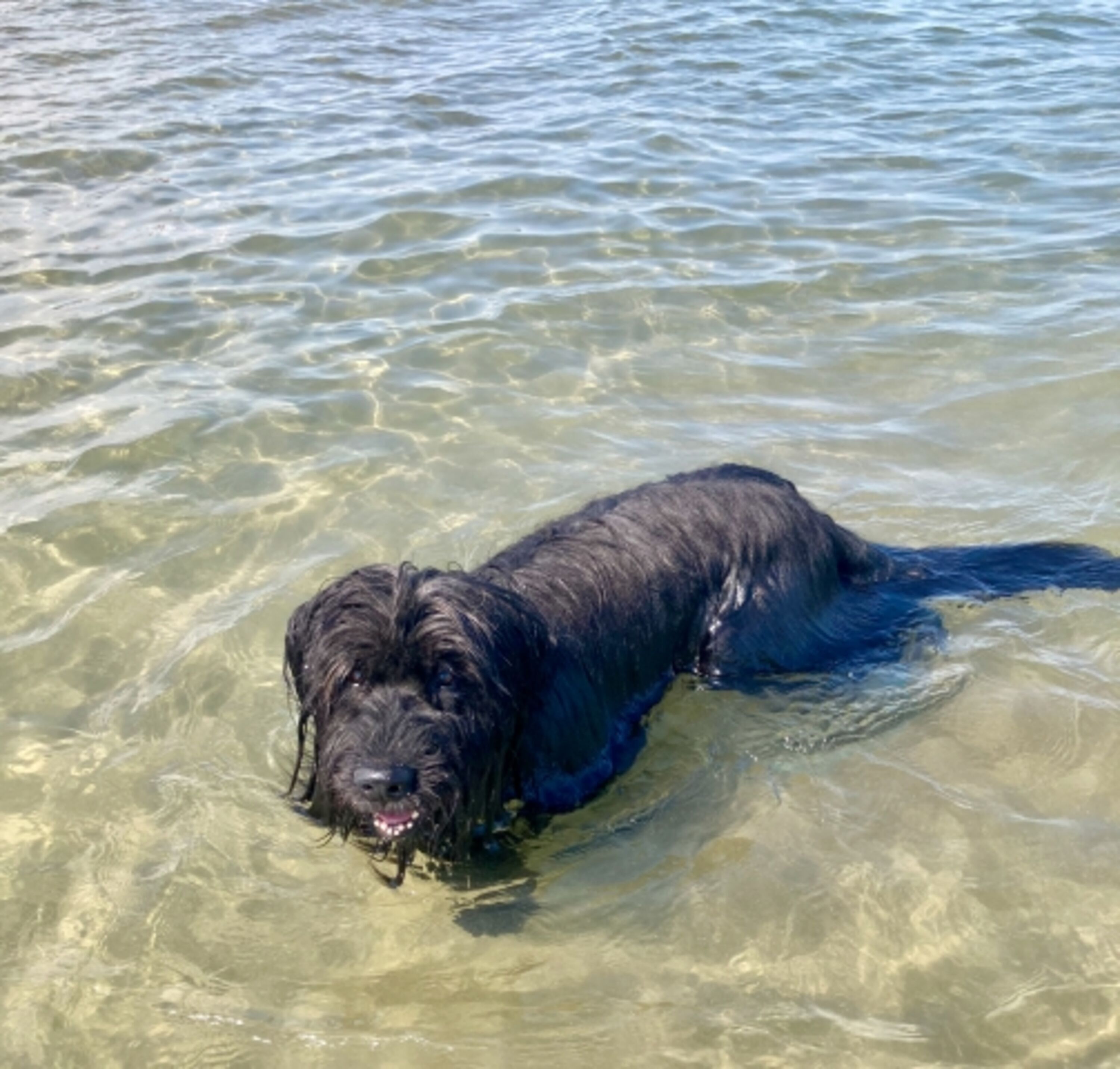 Direkt ins Wasser – flacher Einstieg, ideal zum Planschen und Schwimmen