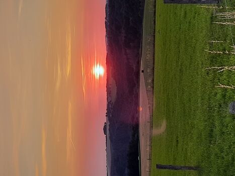 Sonnen Untergang vom Waldweg 