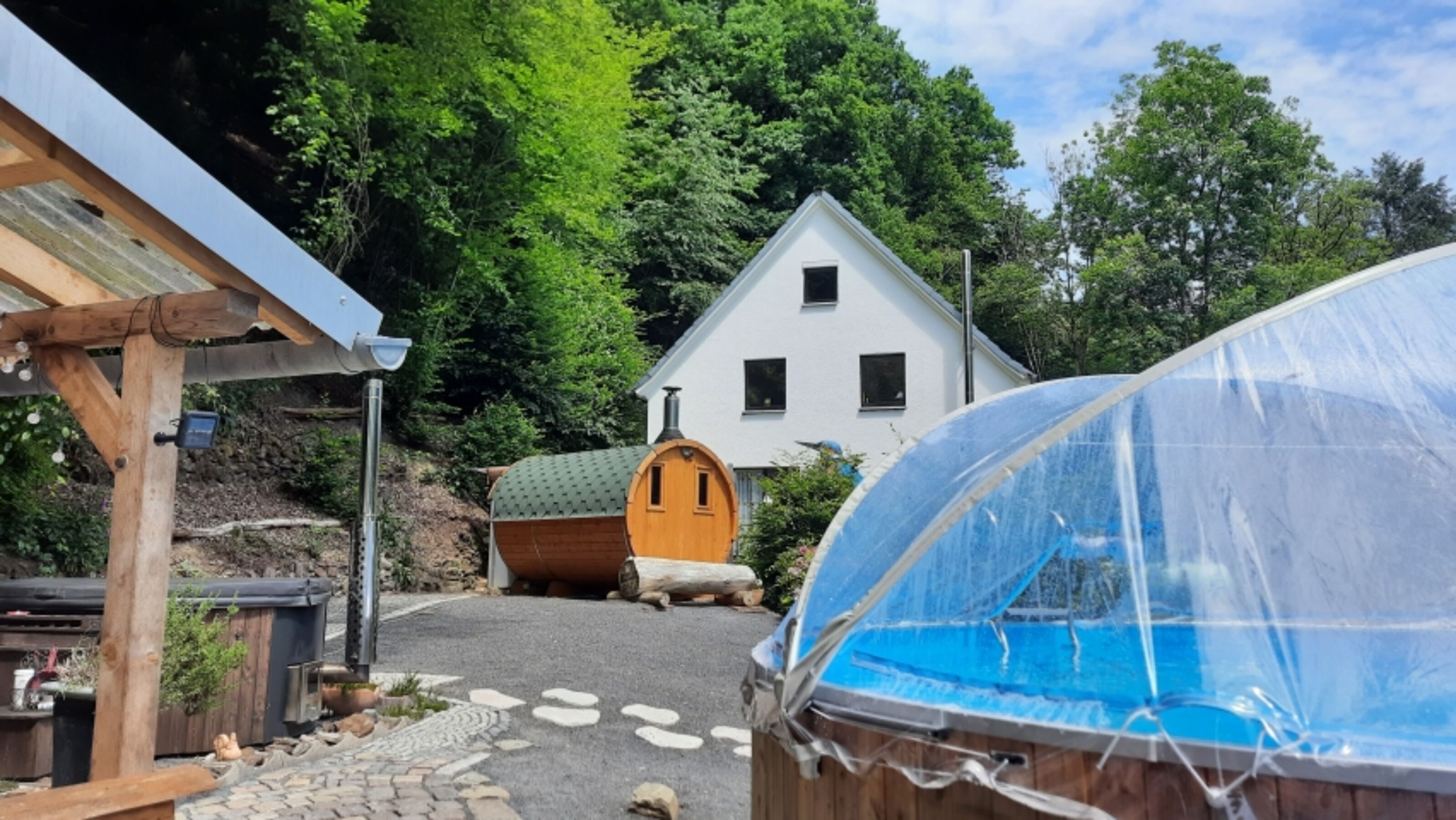 Blick in Garten