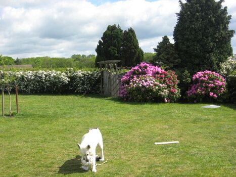 Grundstück ca. 1000 qm