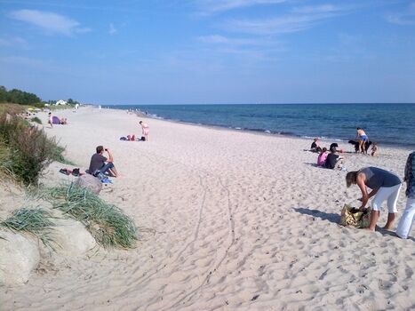 Den Hundestrand von Grömitz erreichen Sie in 10 Autominuten für den Fall, dass Sie mehr Action haben wollen. Sie haben also alle Möglichkeiten hier.