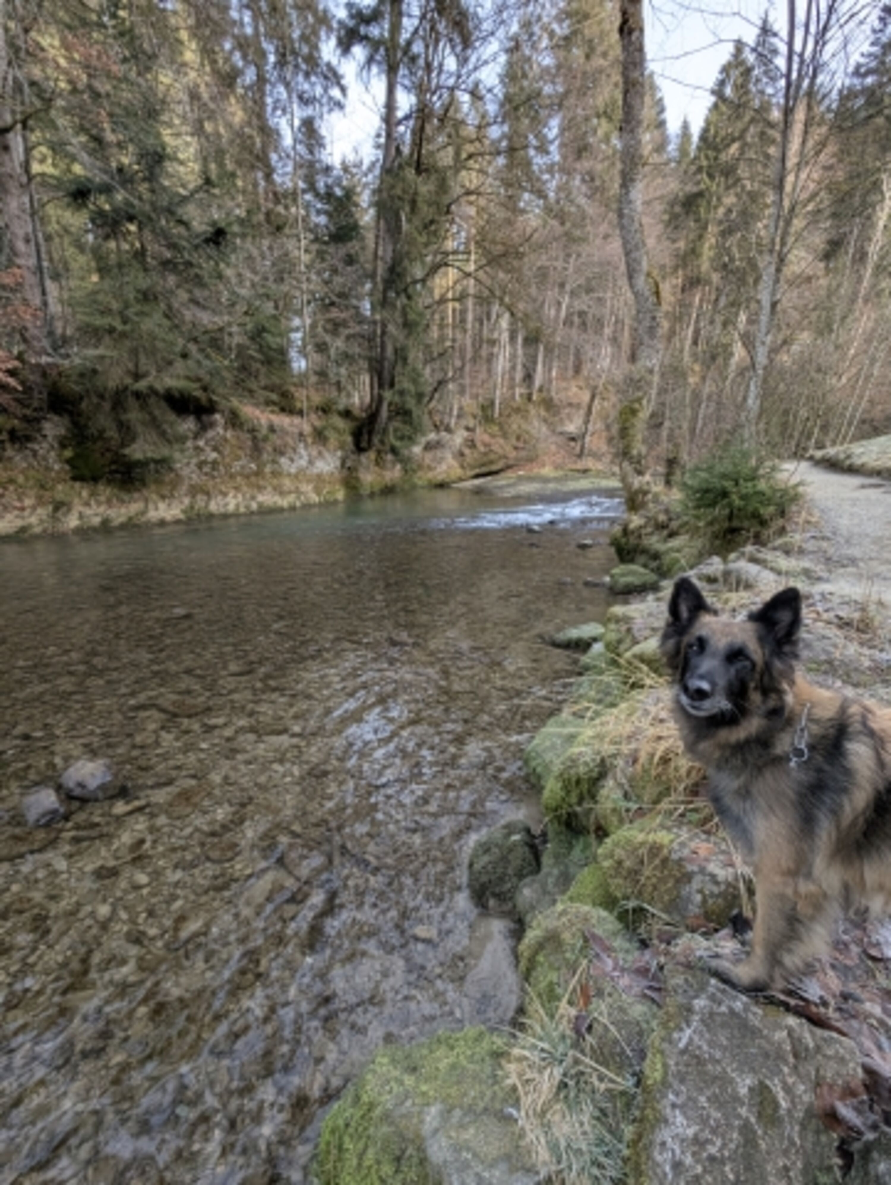 Wanderung an der Argen
