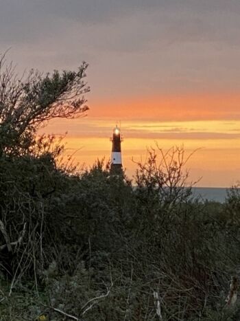 Abendstimmung auf dem Deich