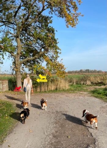 Spaziergänge direkt vor der Haustür 