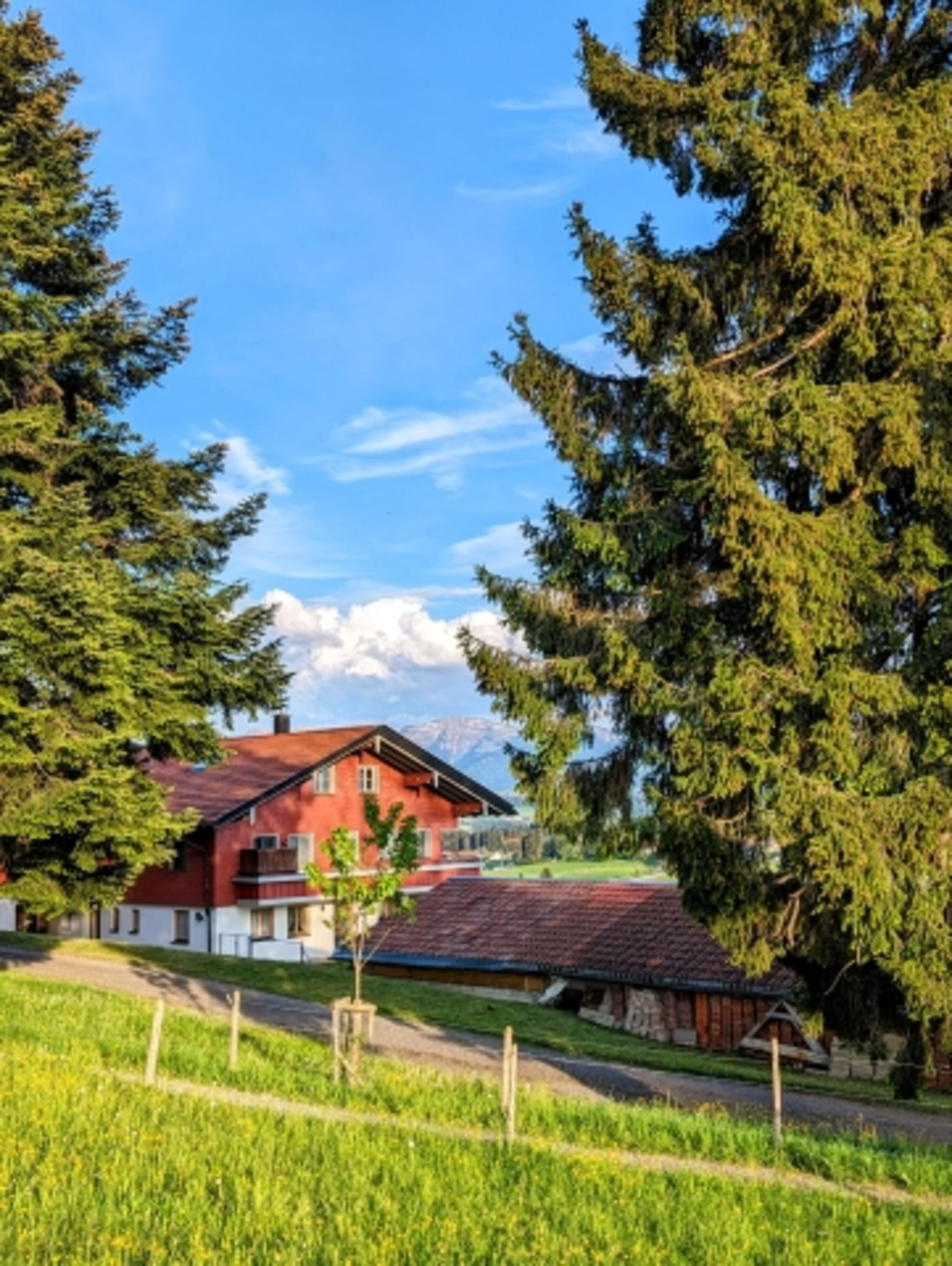 Umgebung des Hauses