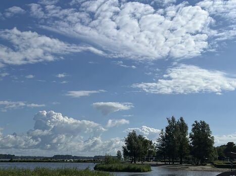 Holland Hundeurlaub