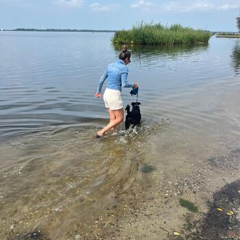 Holland Hundeurlaub Kate