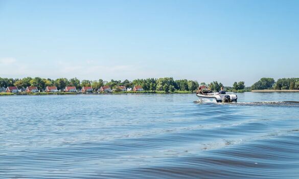 Holland Hundeurlaub