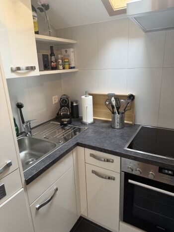 Kleine, aber feine Küche mit Kühlschrank, Bachofen und Herdplatte