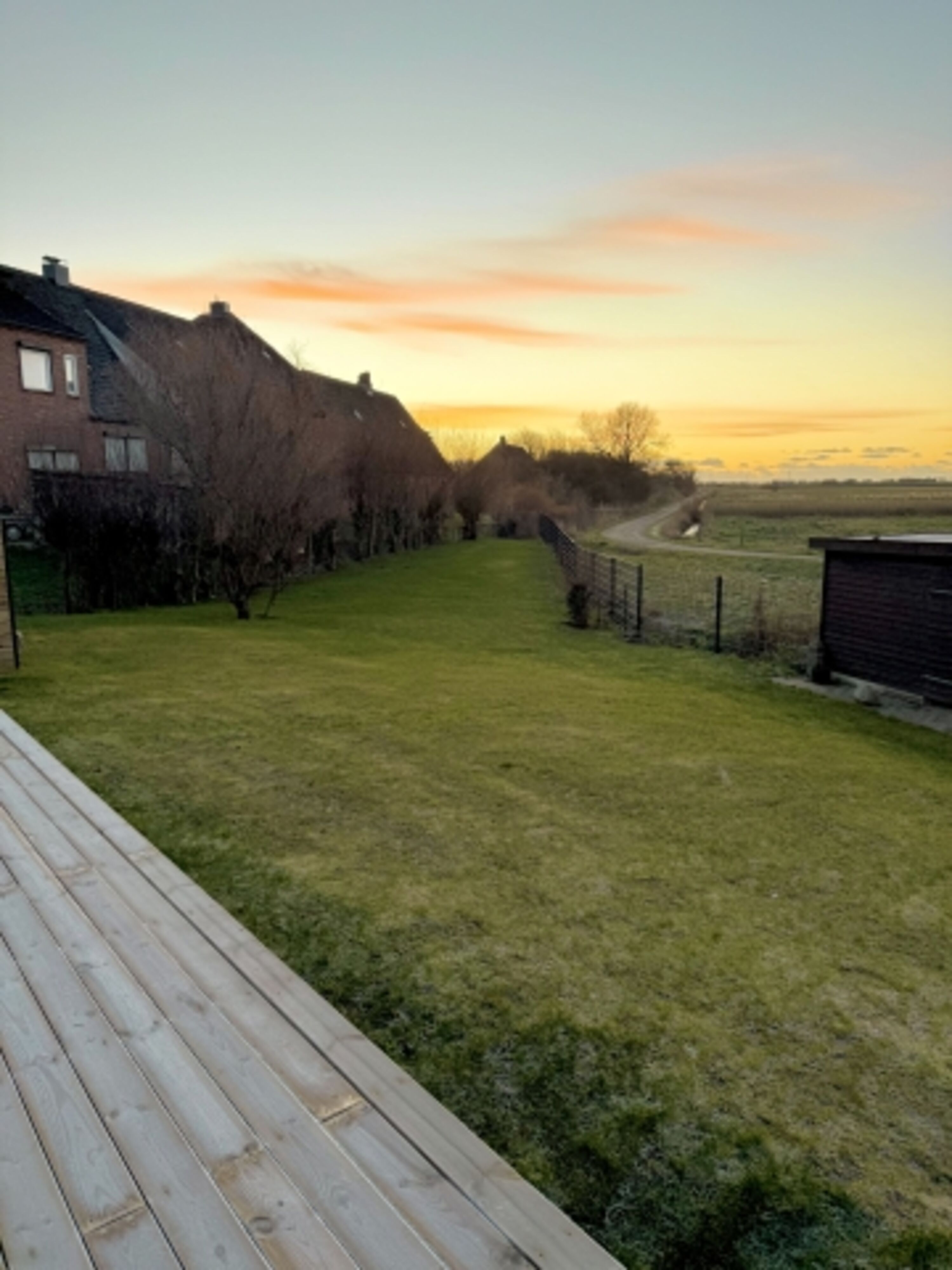 Blick in den Garten