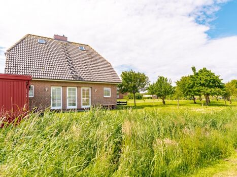 Huus-Marie Wellenrauschen und Dünengras