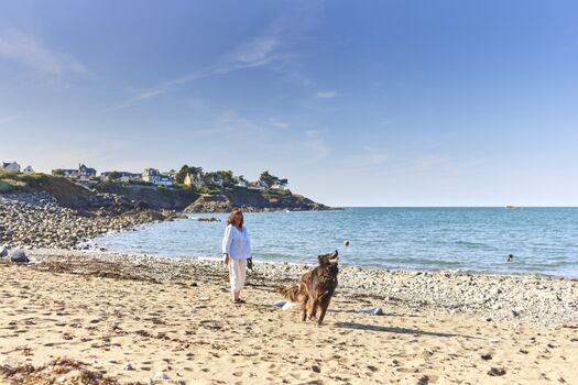 Hundefreundlicher Strand nur 15 Minuten von Ihrem Ferienhaus entfernt