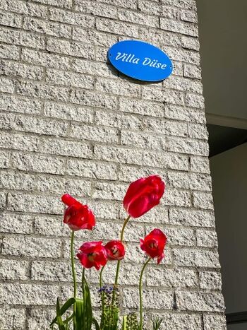 Villa Düse