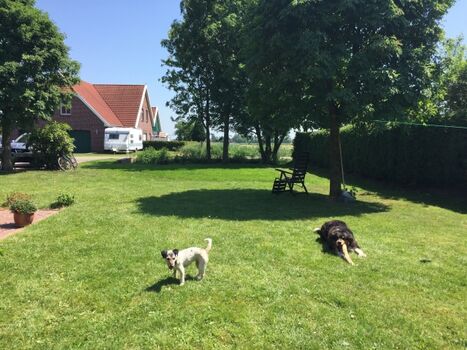 Liegewiese im Garten