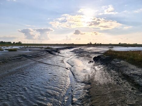 Herrliche Wanderwege durchs Watt.