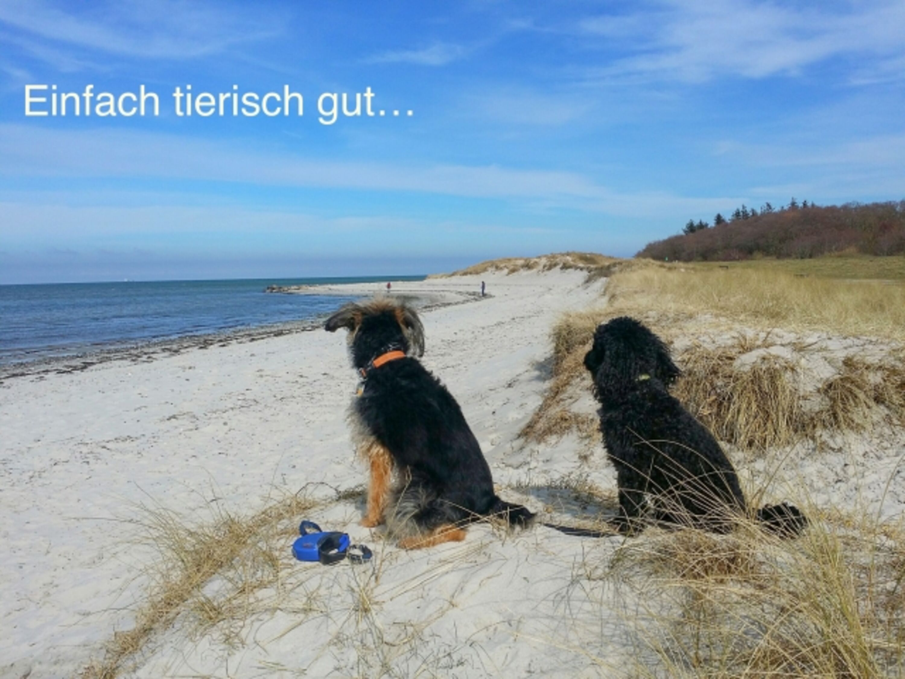 Bild 26