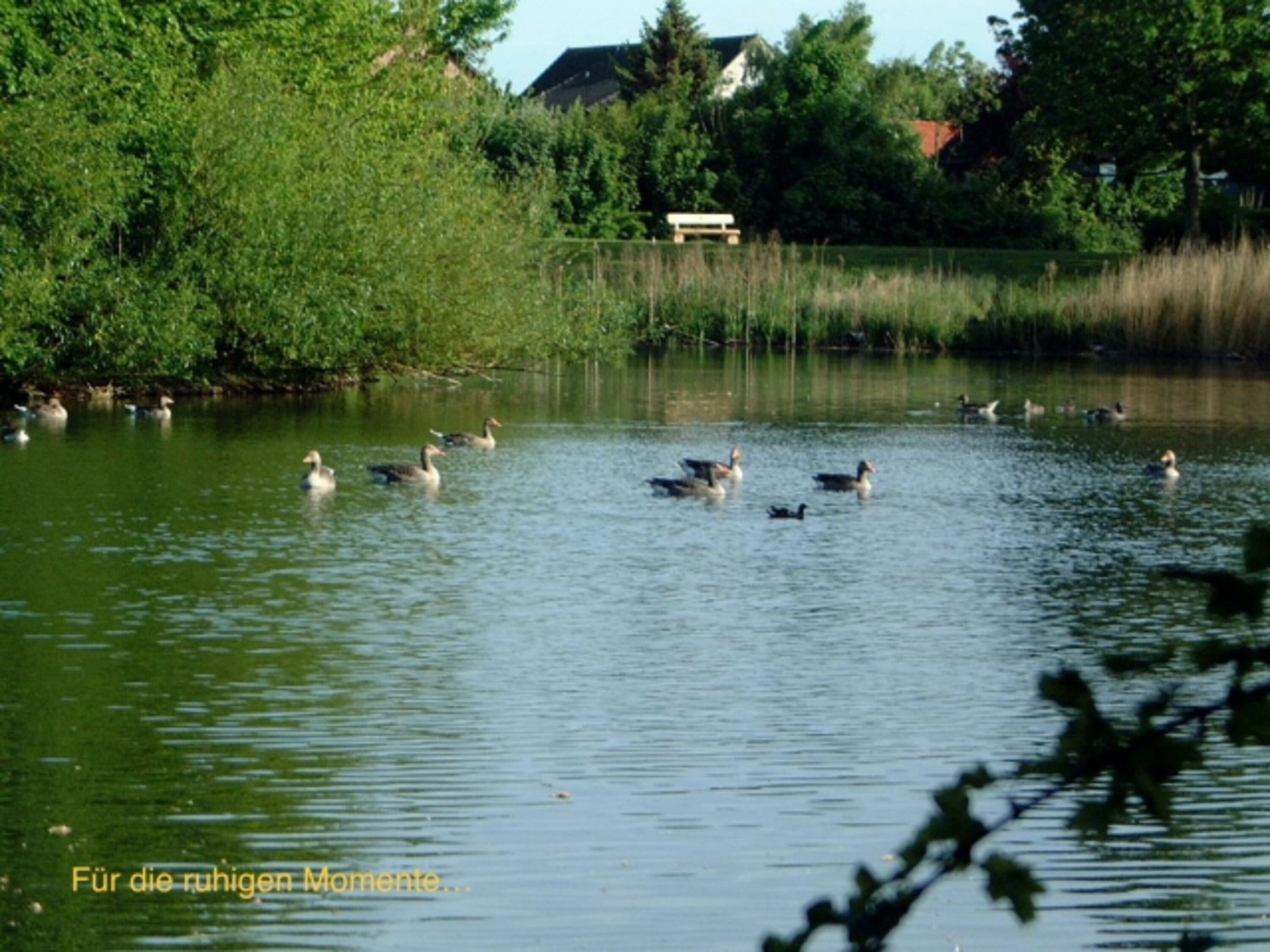 Bild 16