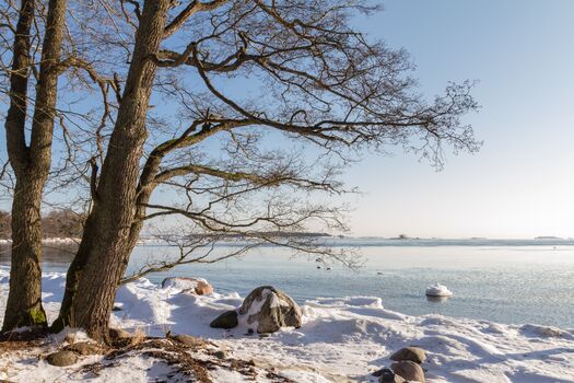 Unser Tipp: Winterurlaub im Haus am See