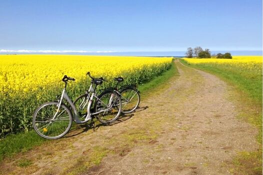 Der Radweg um den See führt an deiner Haustür vorbei
