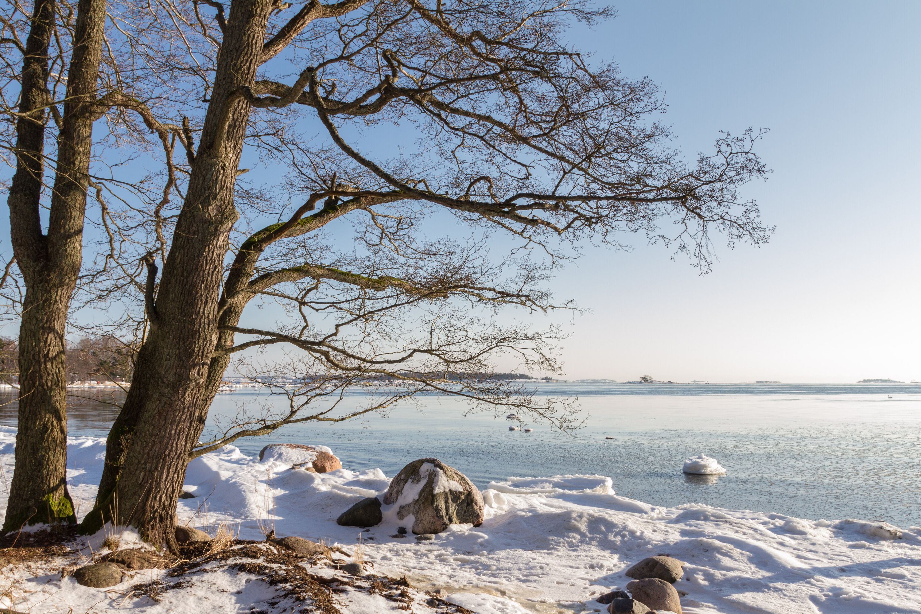 Unser Tipp: Winterurlaub im Haus am See