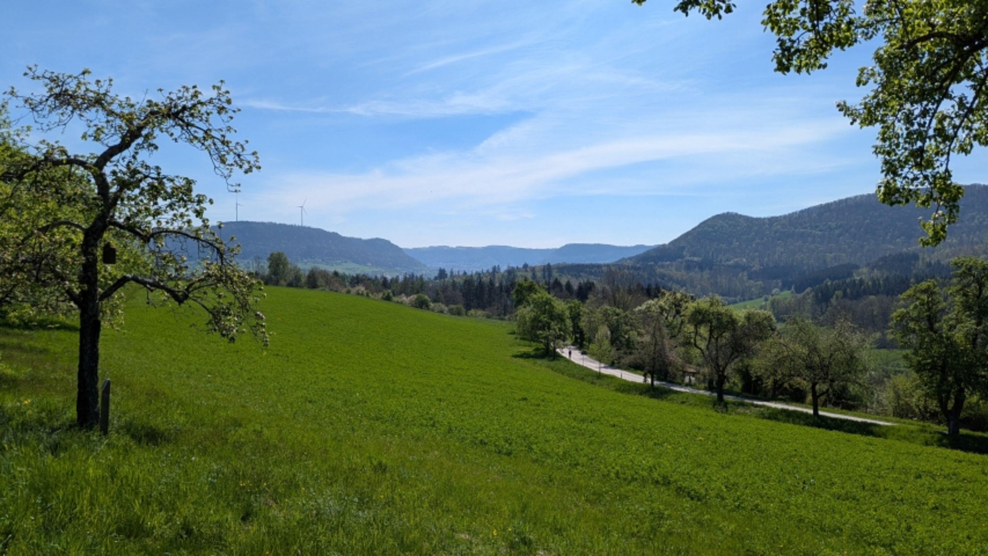 Bild 23