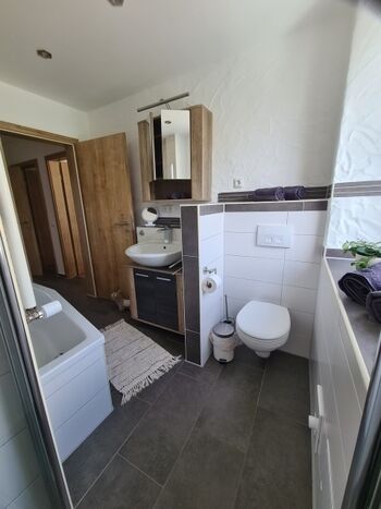 Blick aus der begehbaren Dusche ins Bad