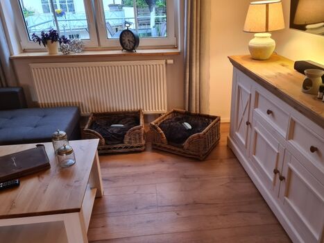 Hundekörbe für die kleinen vierbeinigen Zwerge plus Näpfe und Begrüßungsleckerli