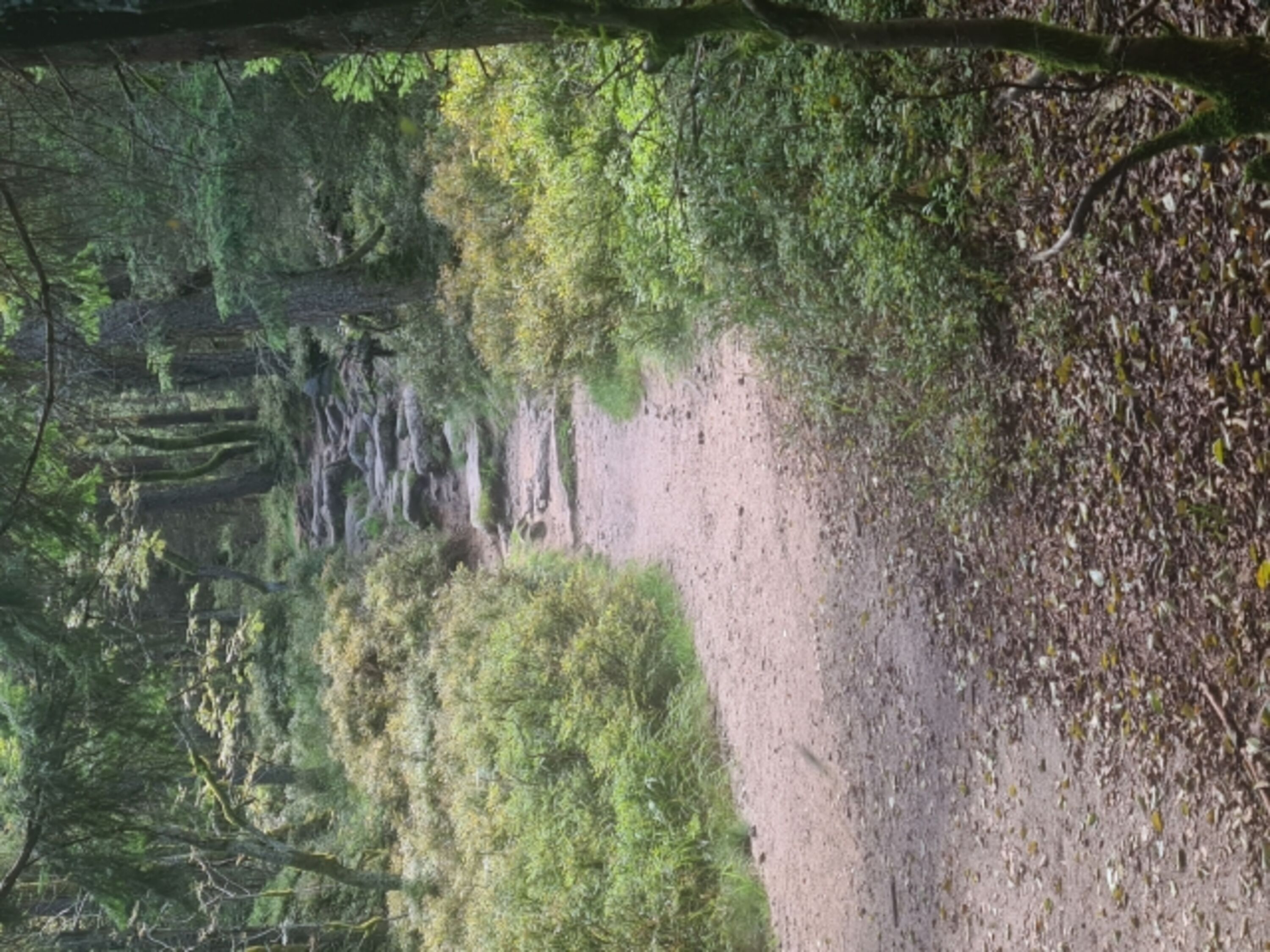 Fichtelgebirge