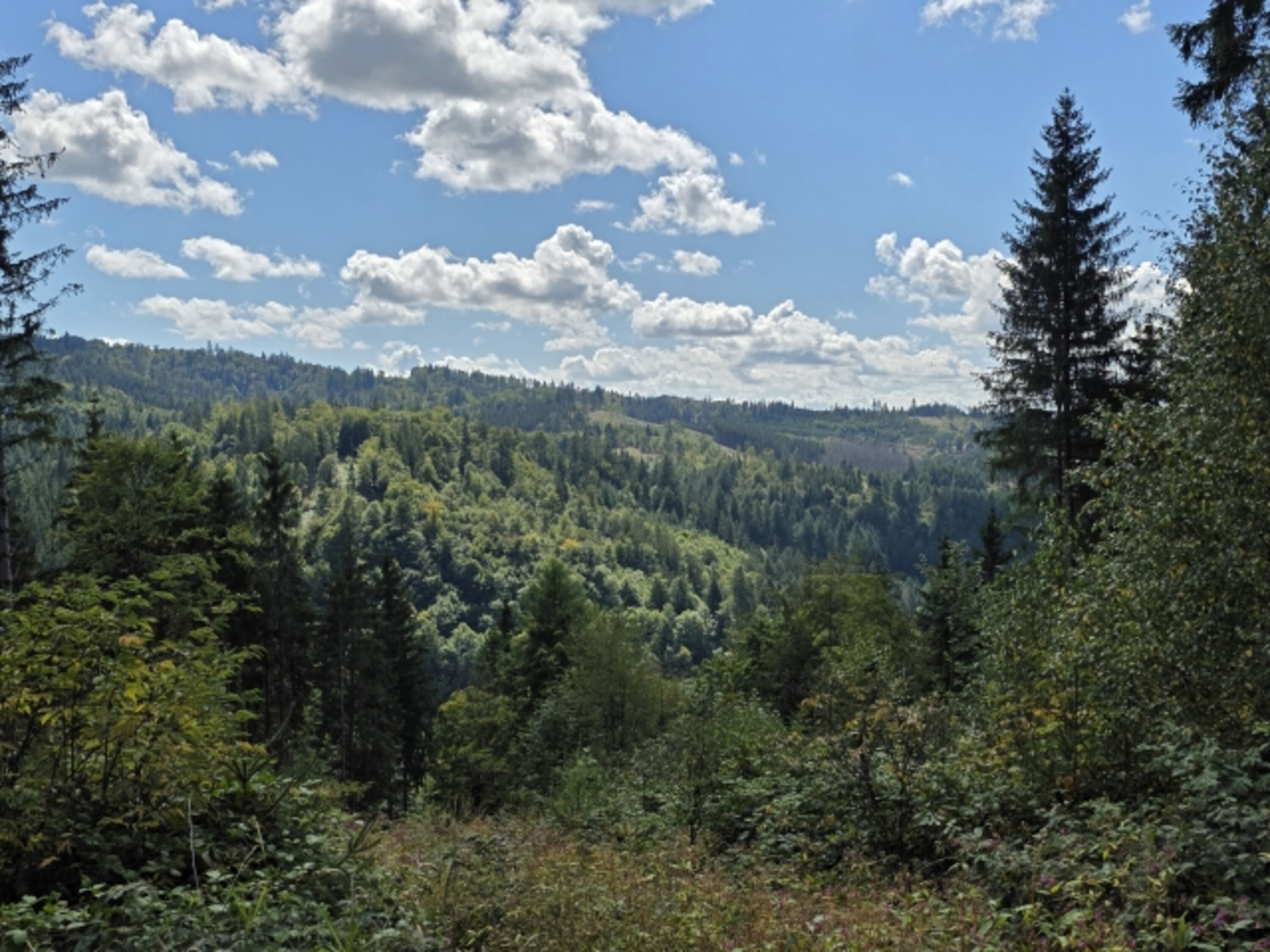 Fichtelgebirge