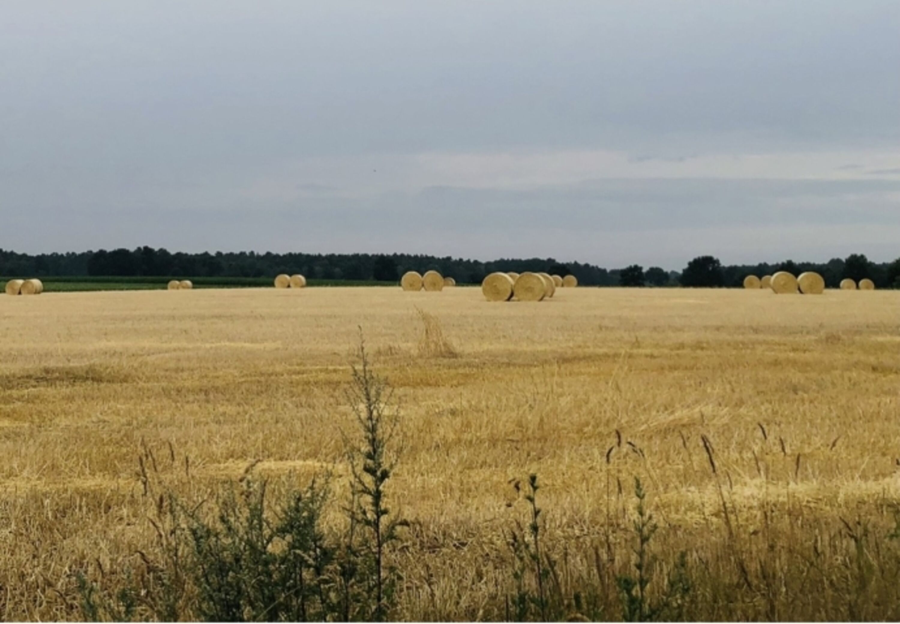 Erntezeit