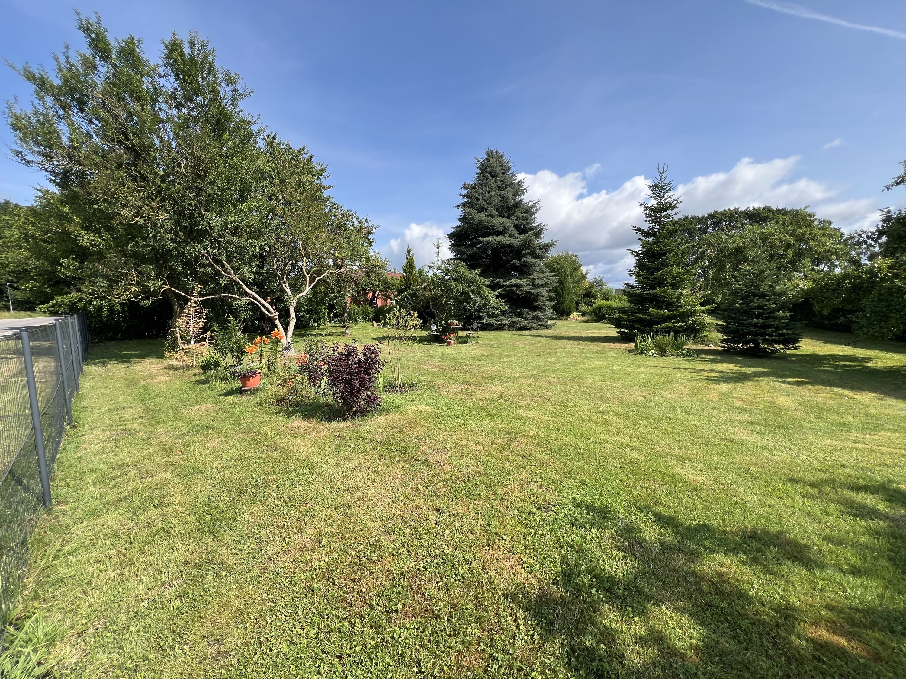 Der Garten für die Hunde zum Rennen.