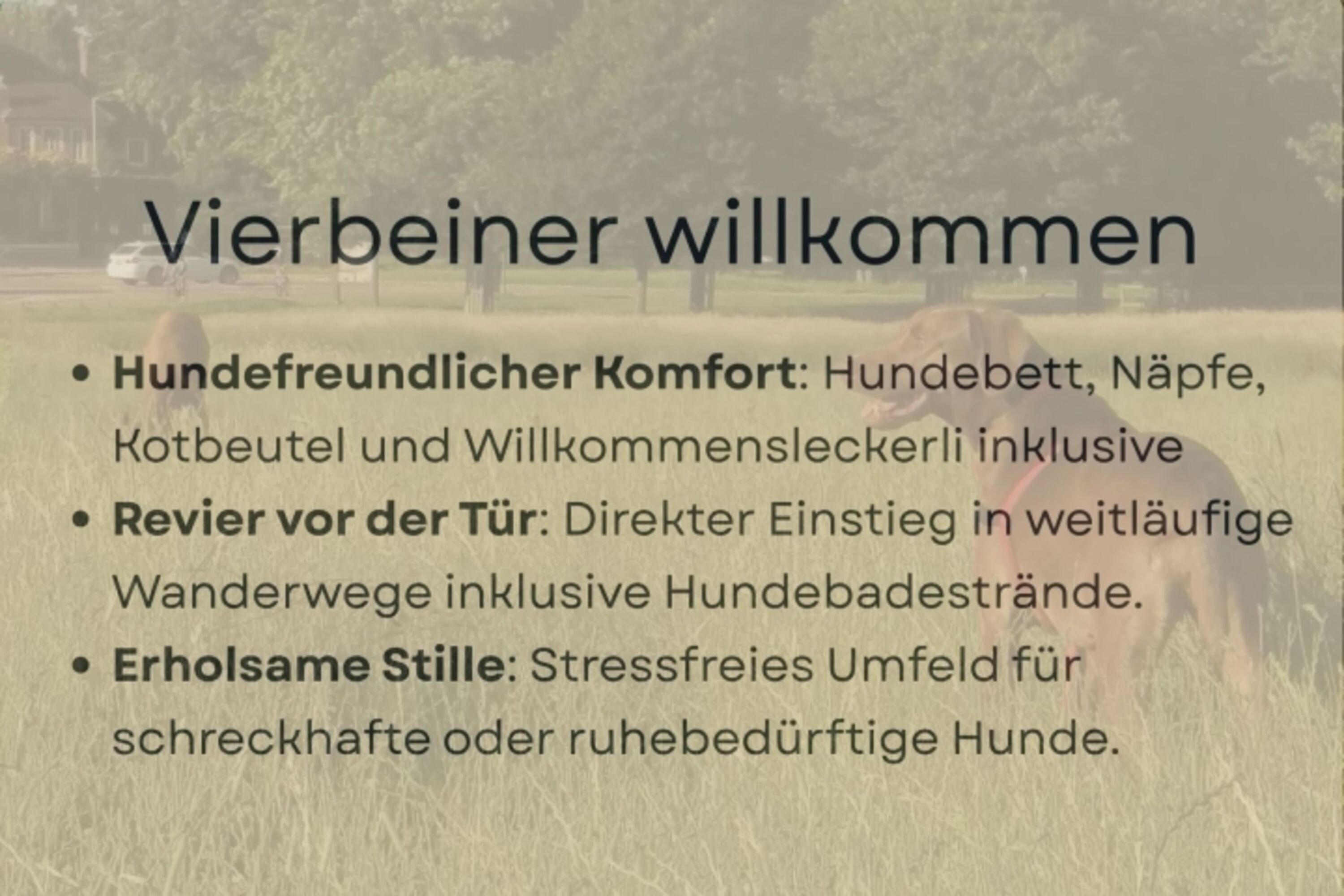 Bild 25