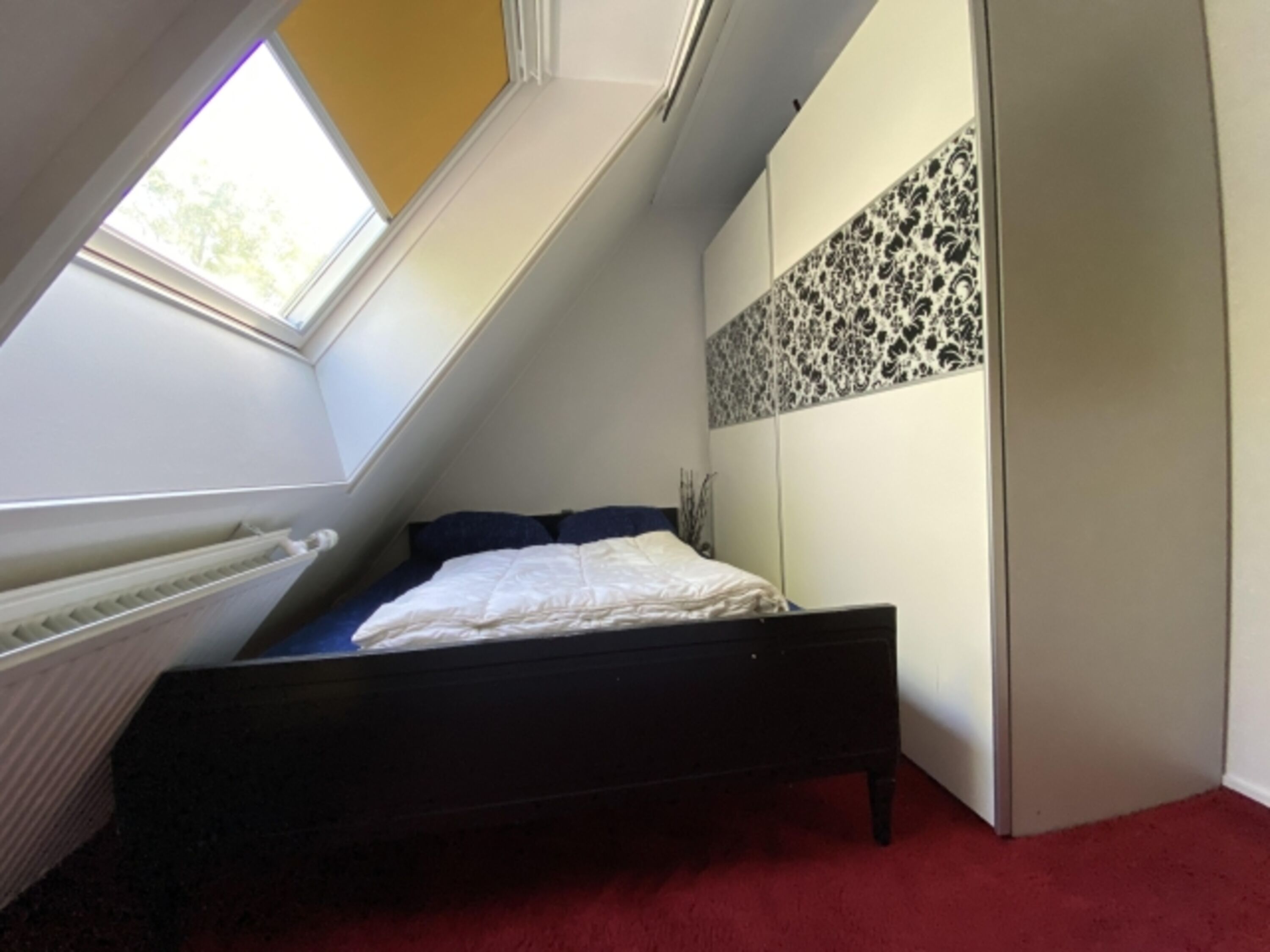 Bild 16