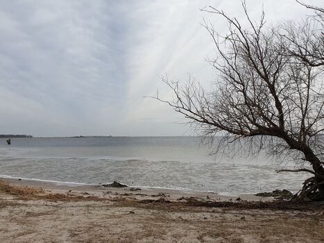 Wilde Badestelle bei Spandowerhagen