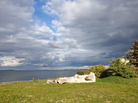 Peenestrom bei Spandowerhagen