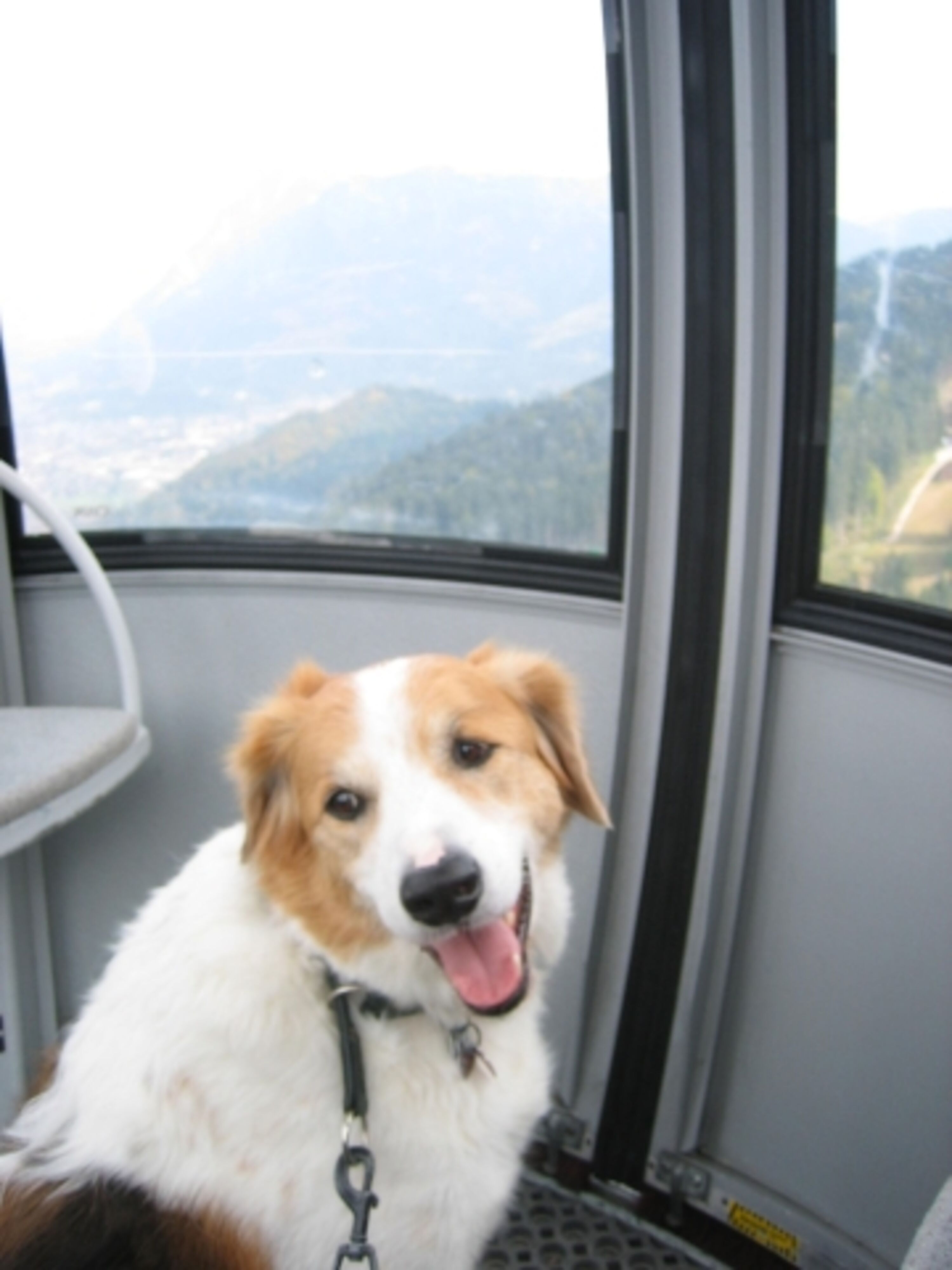 Ausflug mit der Bergbahn