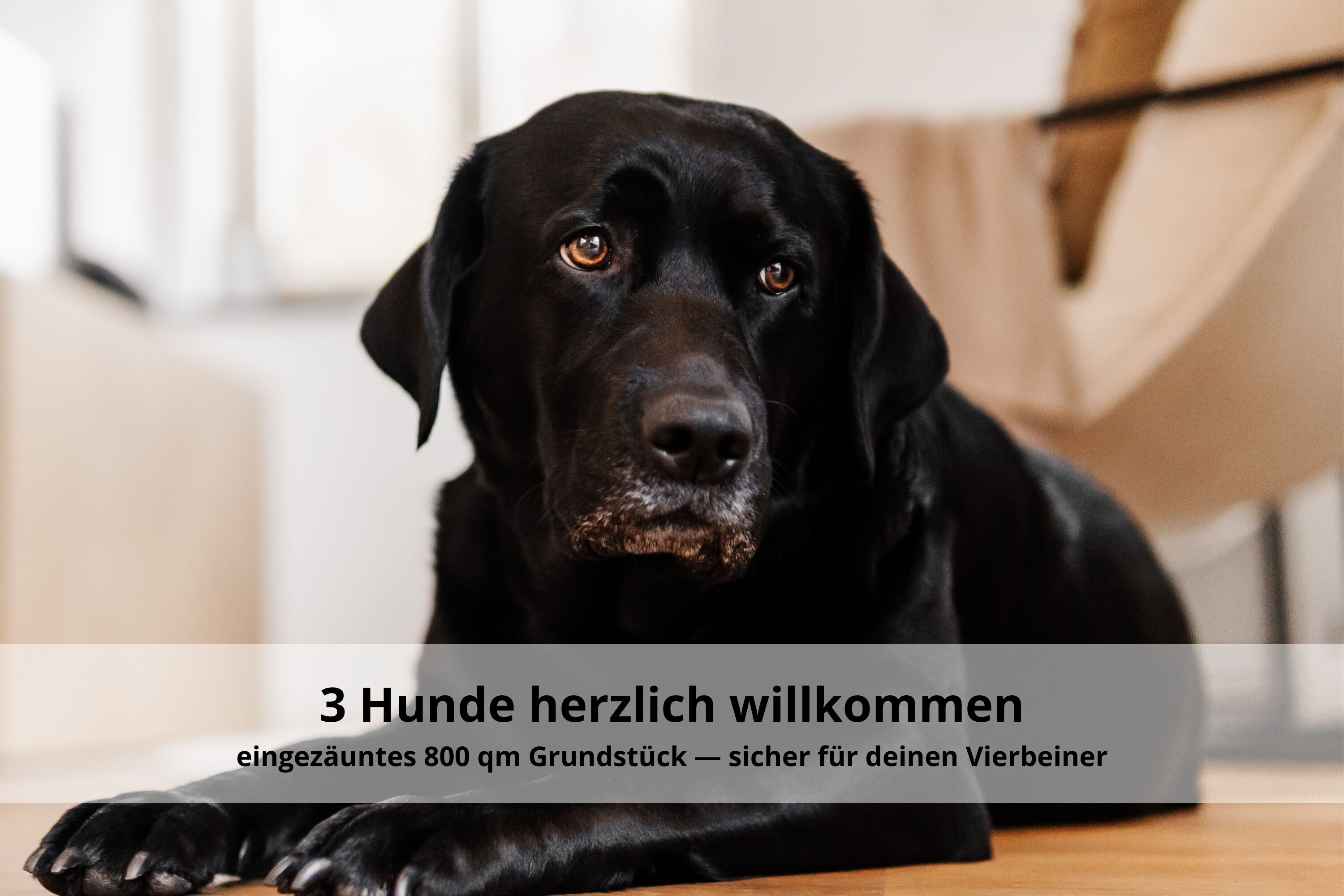 Bild 27
