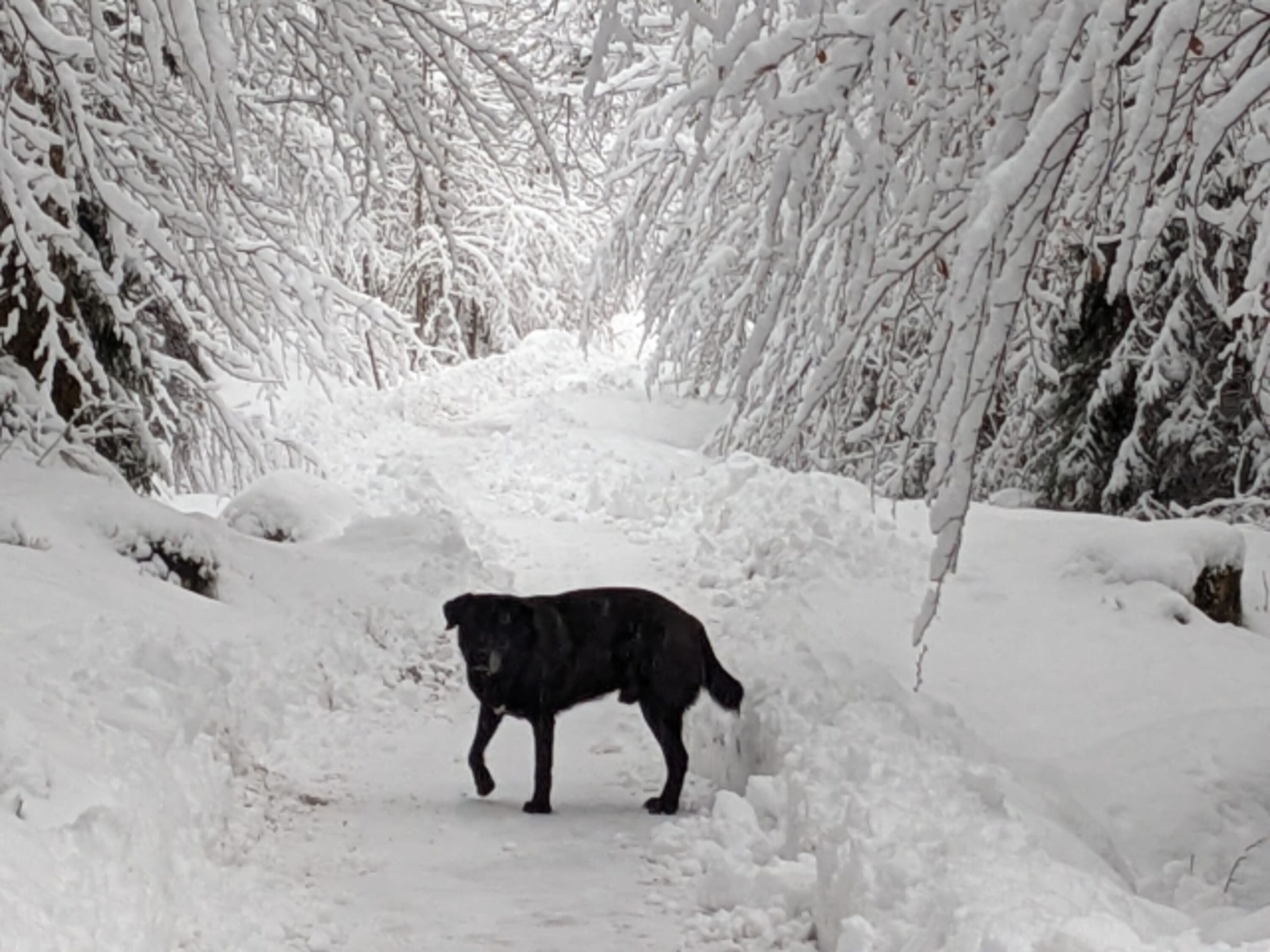Winterspaziergang