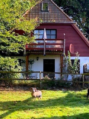 Blick aufs Haus und die Terrasse