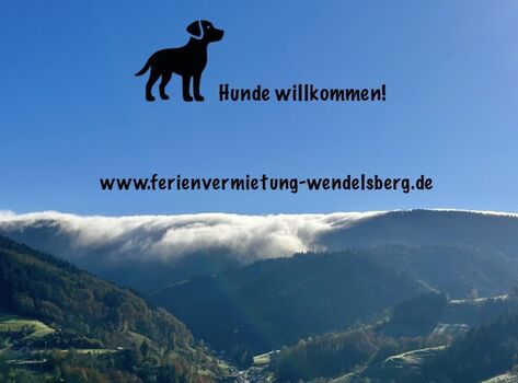 Hundefreundliche Unterkunft