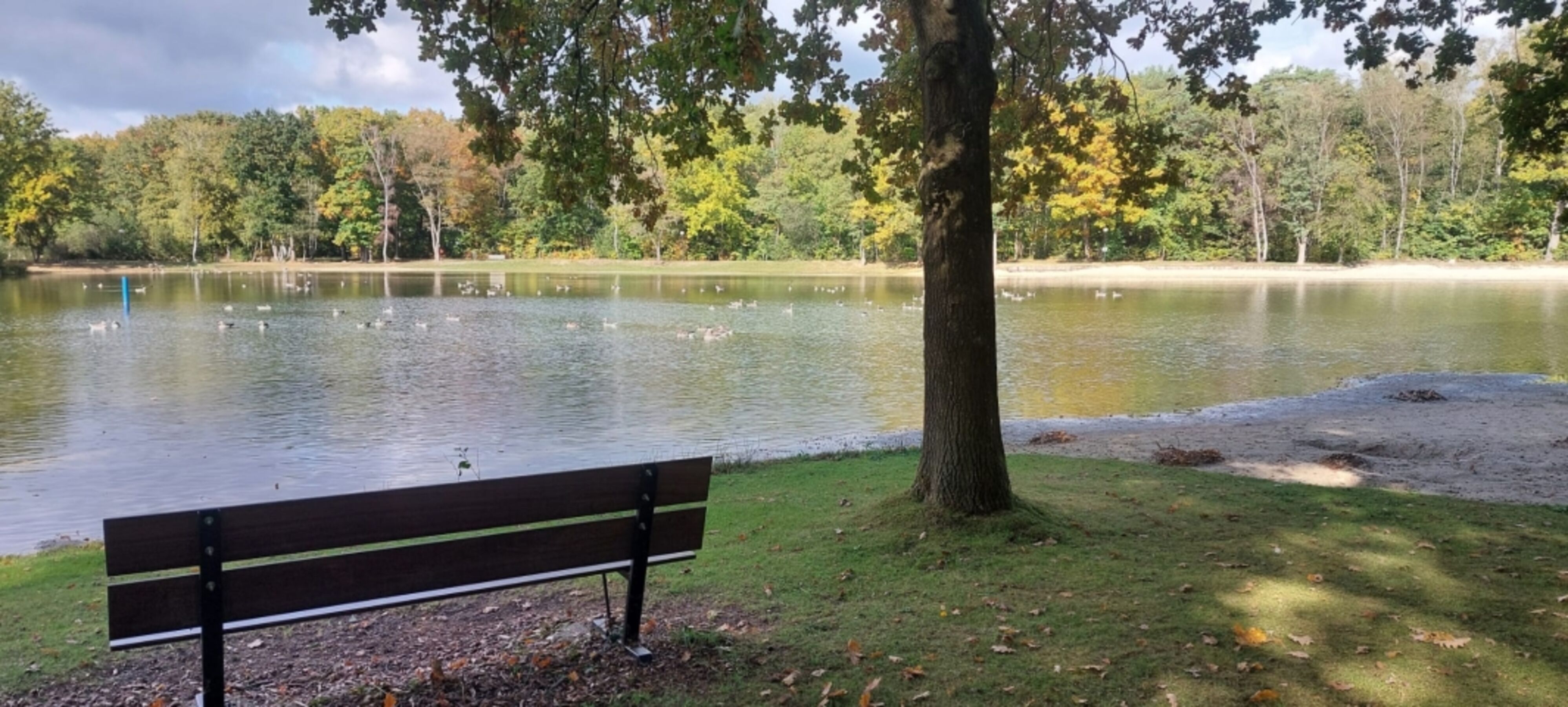 Bild 17