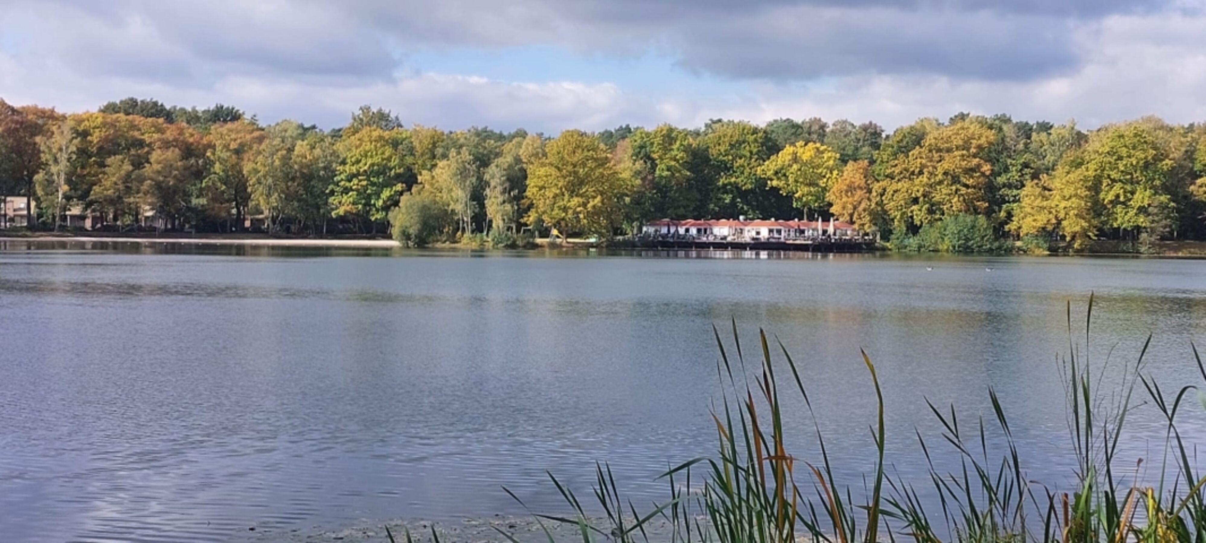 Bild 15