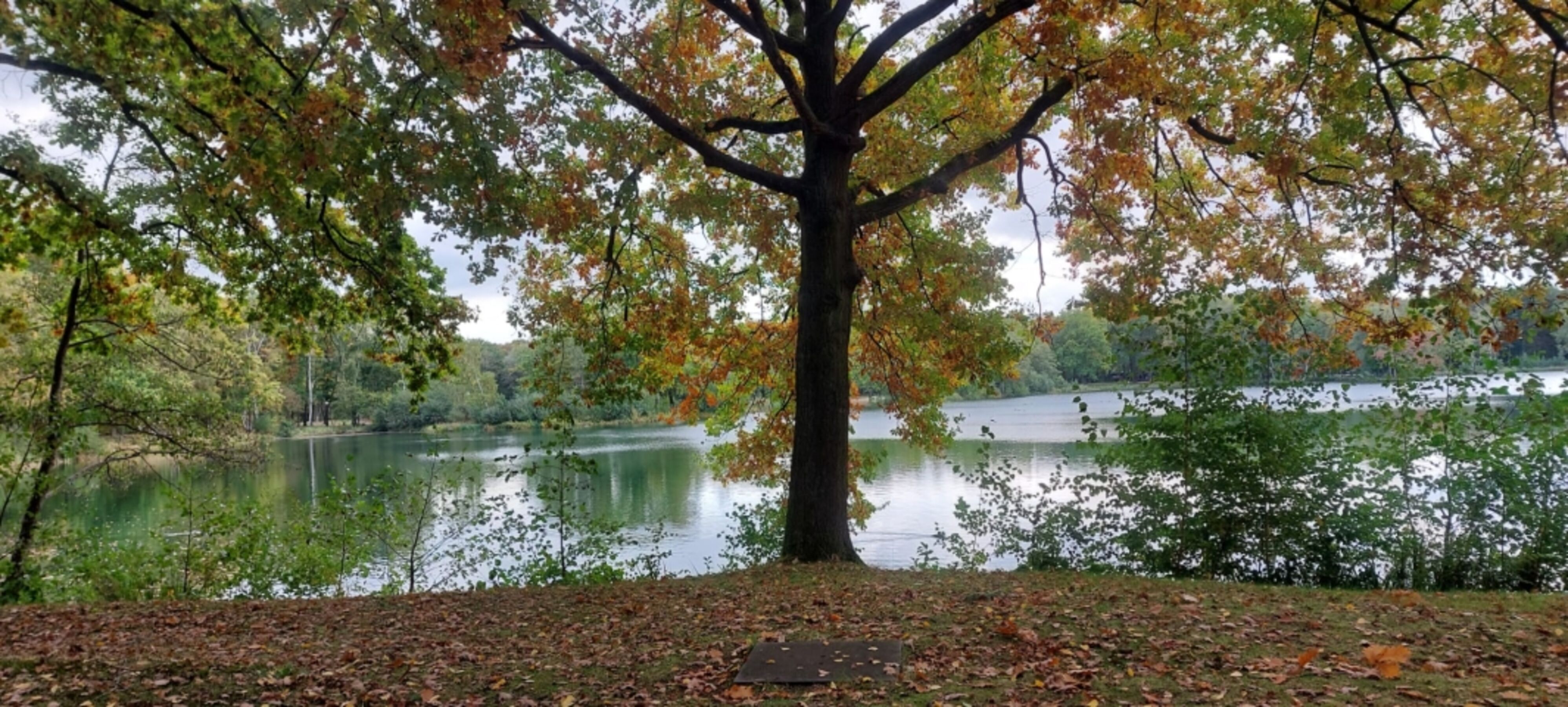 Bild 14
