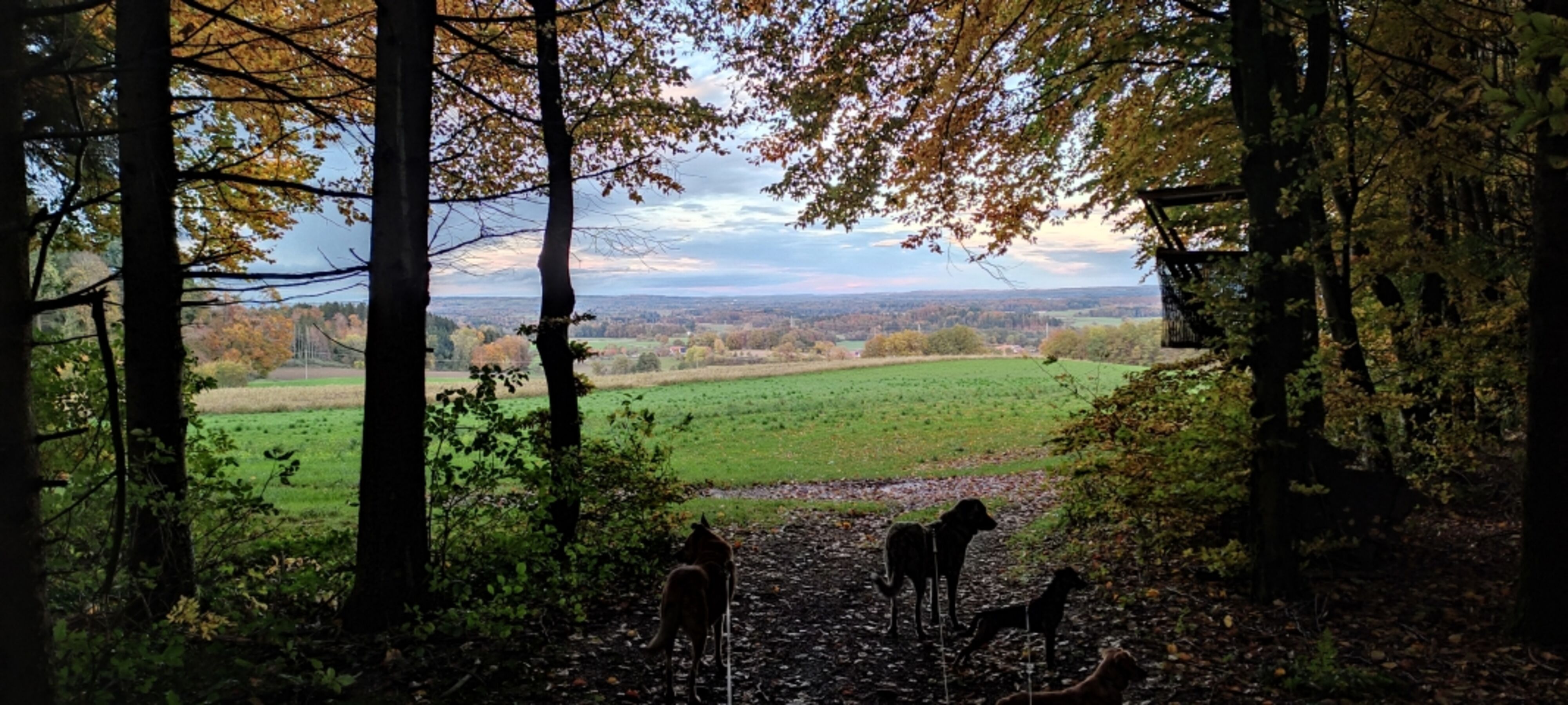 Spazierweg
