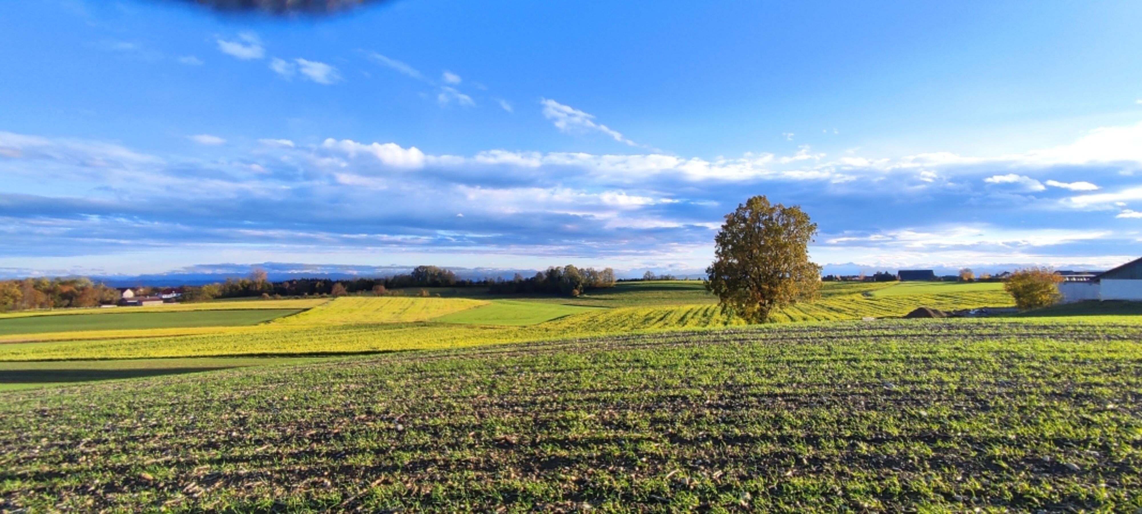 Spazierweg