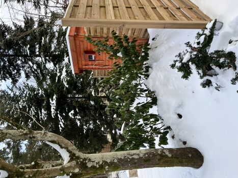 Winter im Drosselbart 