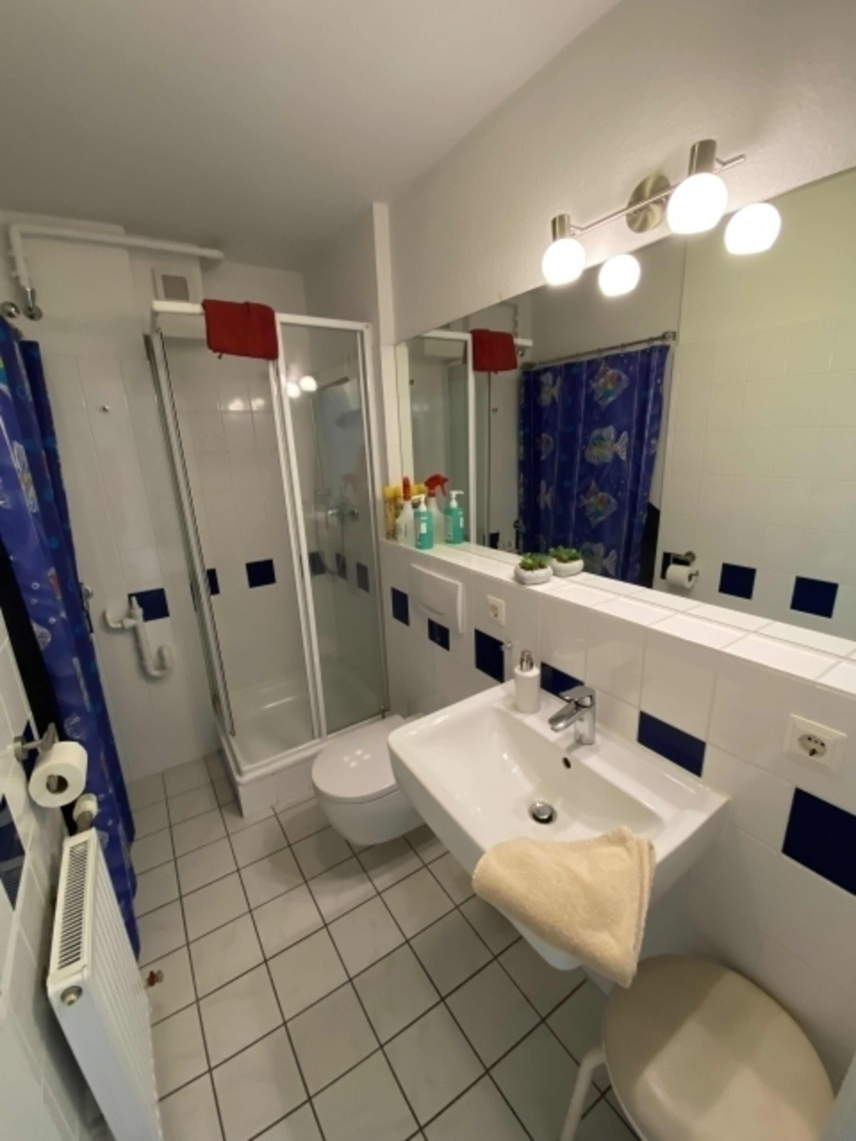 Badezimmer mit Dusche 